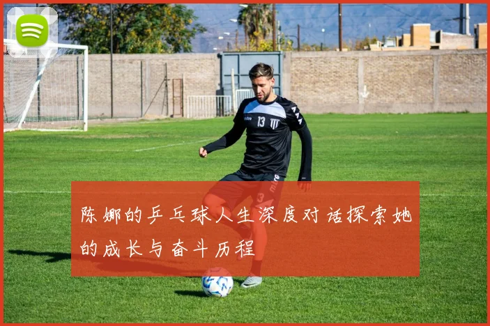 陈娜的乒乓球人生深度对话探索她的成长与奋斗历程