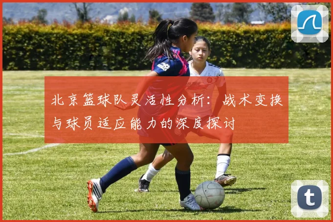 北京篮球队灵活性分析：战术变换与球员适应能力的深度探讨