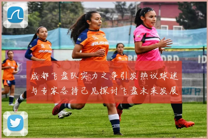 成都飞盘队实力之争引发热议球迷与专家各持己见探讨飞盘未来发展